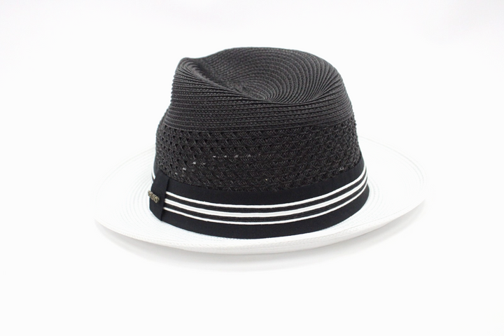 https://i.ebayimg.com/00/s/MTA2NlgxNjAw/z/KX8AAeSwsvBqKzq-/$_57.PNG?set_id=880000500F